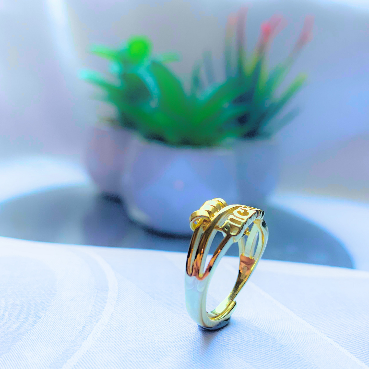 Lucky Fidget Ring (S925 14K Gold Plating)