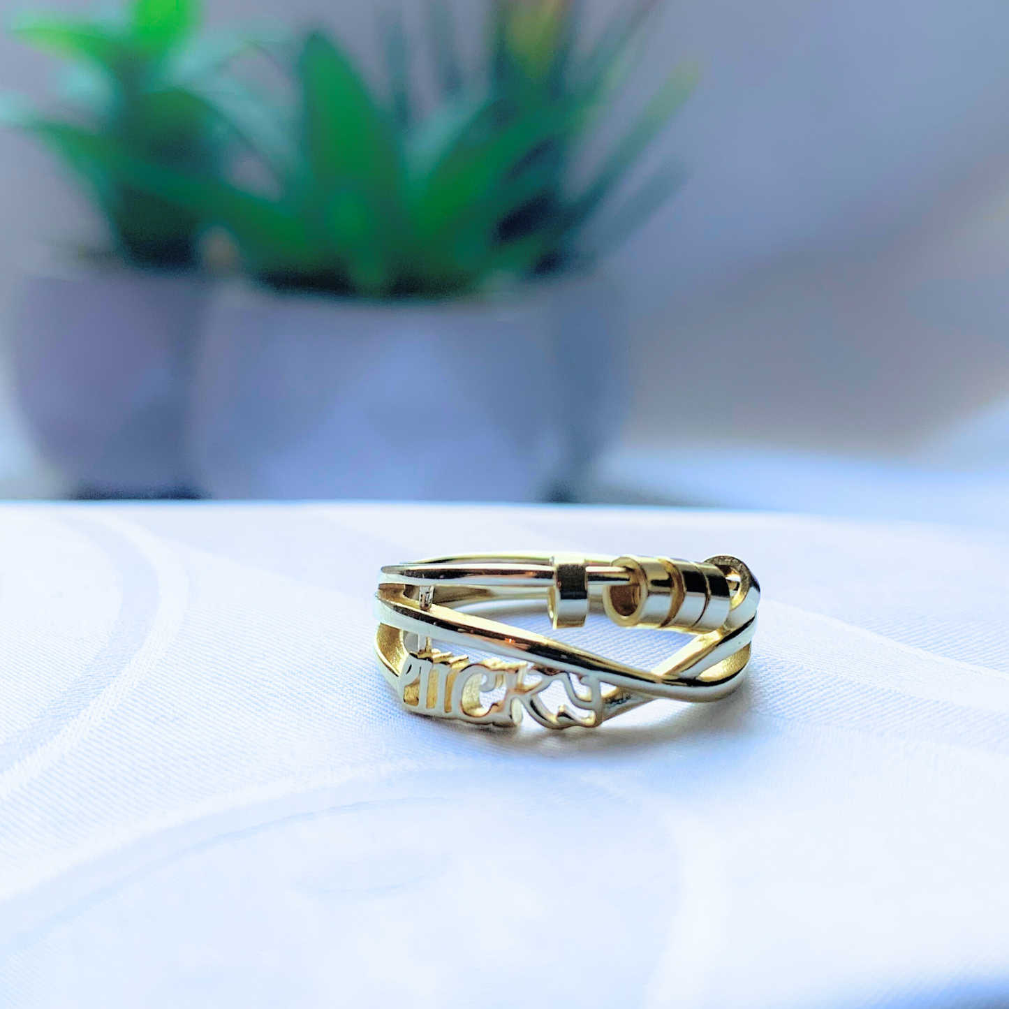 Lucky Fidget Ring (S925 14K Gold Plating)