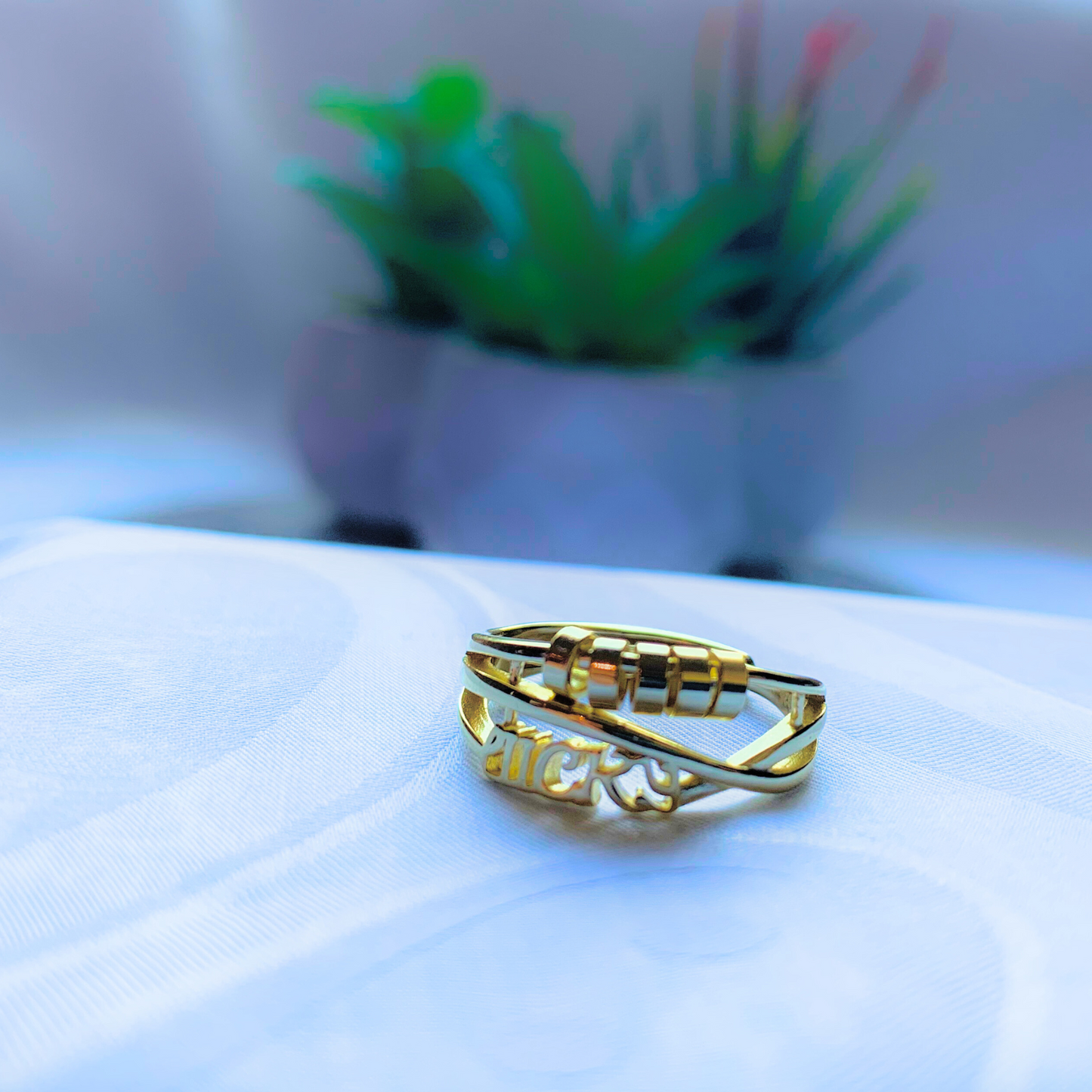 Lucky Fidget Ring (S925 14K Gold Plating)